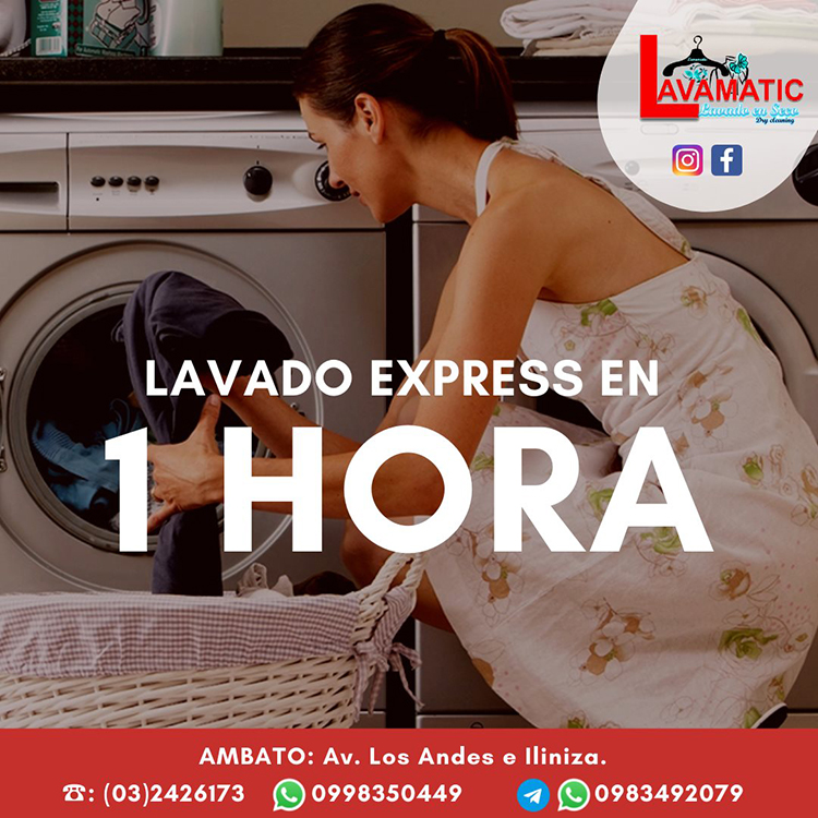 Arriba 39+ imagen lavanderia de ropa quito Abzlocal.mx